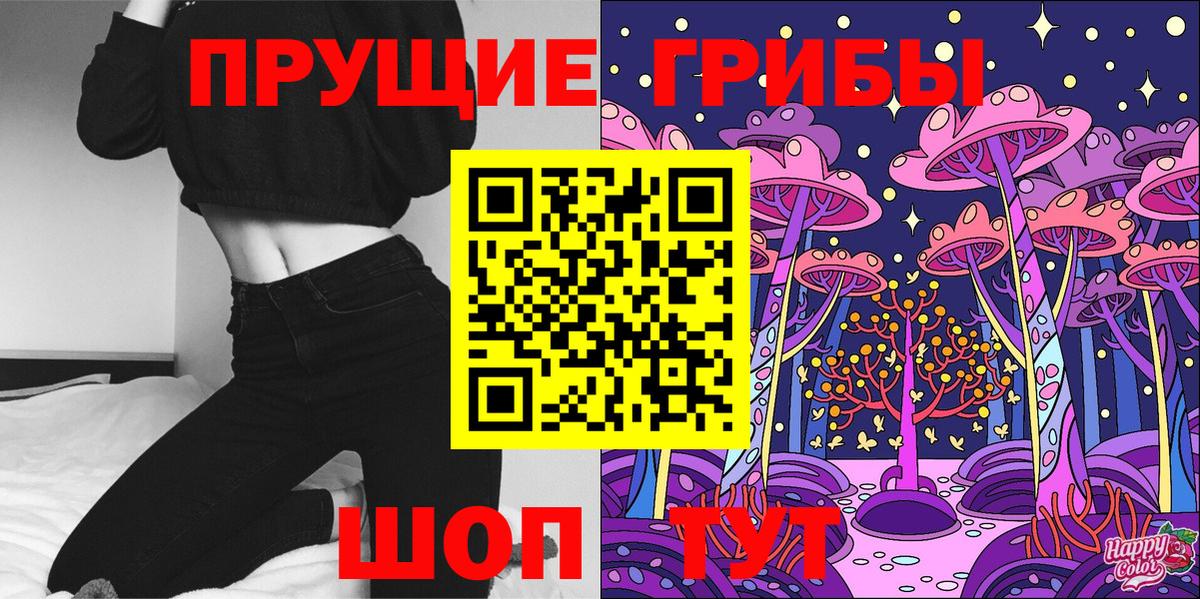 Галлюциногенные грибы Psilocybe Кубинка